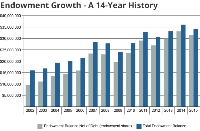 Endow-Growth-Chart1